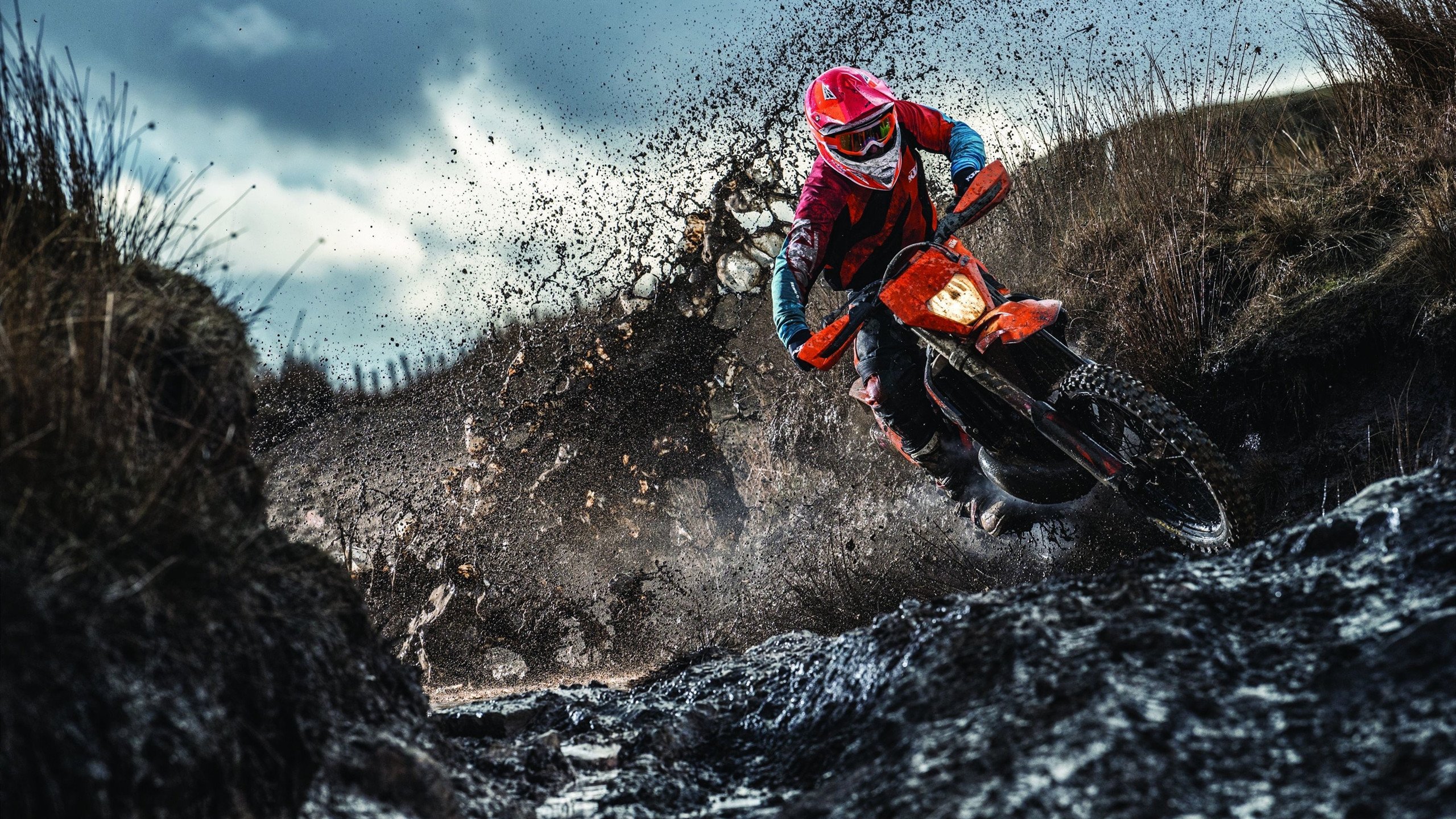 开云APP-皮克一球定乾坤,当哥斯达黎加的雨林风吹过爱尔兰的绿茵 第2张 开云APP-皮克一球定乾坤,当哥斯达黎加的雨林风吹过爱尔兰的绿茵 第2张